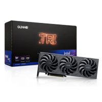 GUNNIR Intel Arc B570 Tri 10G OC Gaming Black Graphics Card